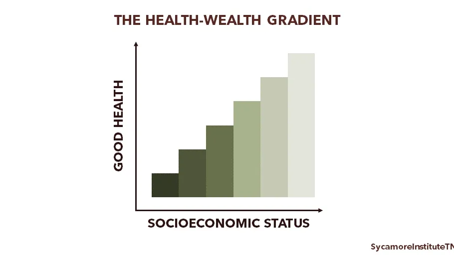 Understanding the Impact of Socioeconomic Status on Health Inequalities in Low and Middle-Income Countries
