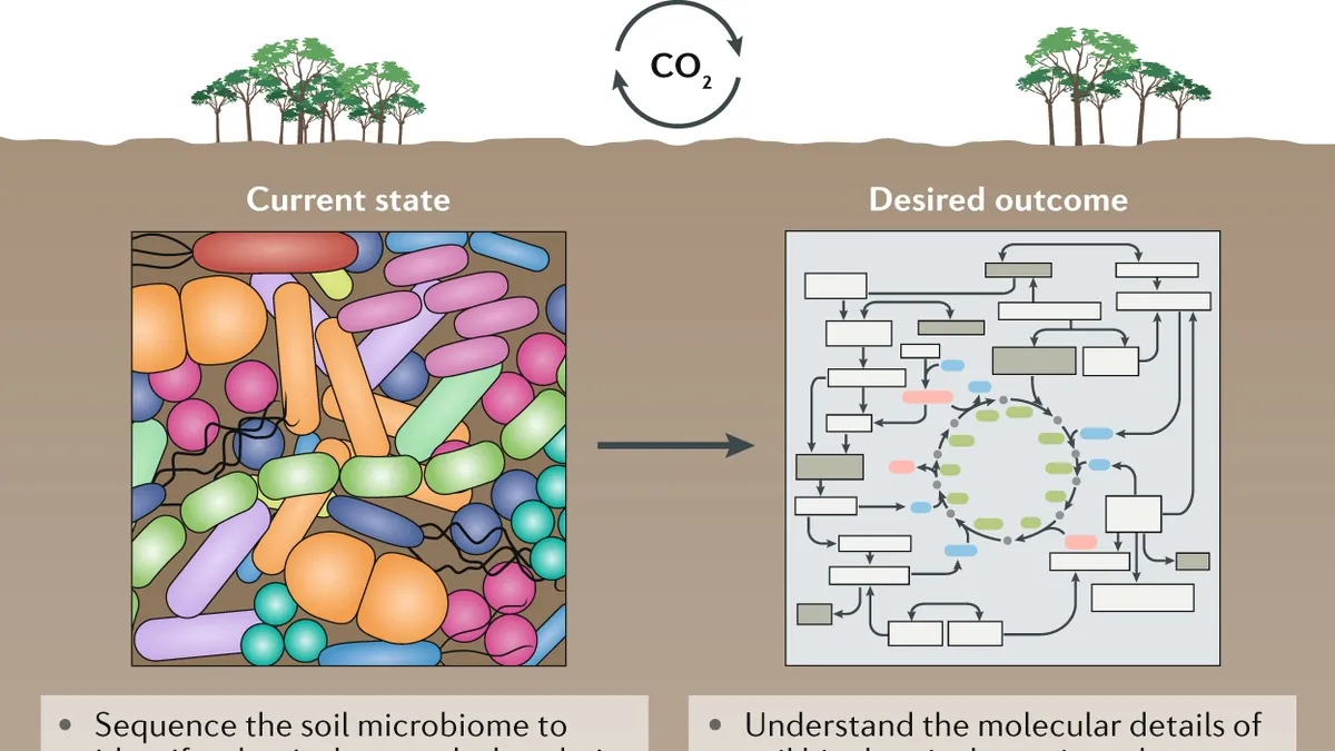 Understanding the Impact of Climate Warming on Soil Priming and Microbial Mechanisms in Tallgrass Prairie Ecosystems