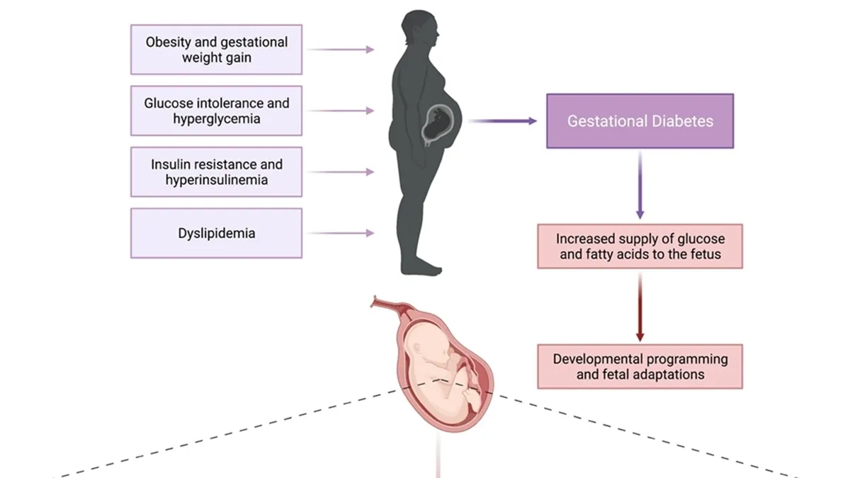 The Impact of Pregnancy Complications on the Cardiovascular Health of Offspring: A Comprehensive Analysis