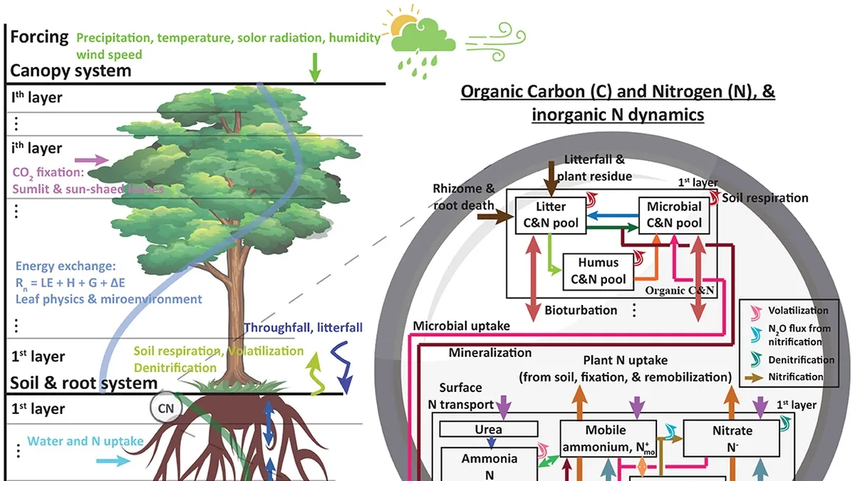Understanding Soil Carbon Dynamics: Importance and Impacts