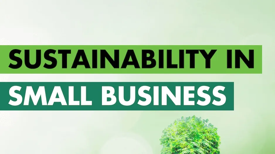 Sustainability in Small Business: Strategies, Impact, and Opportunities