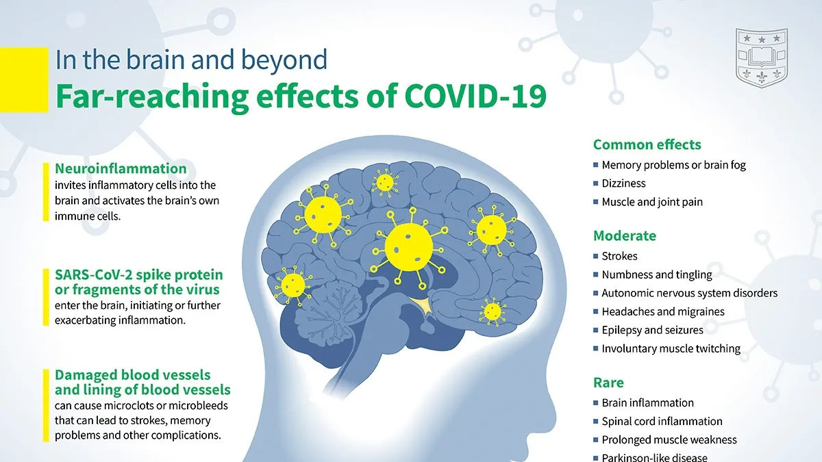 Long COVID: A Potential Form of Brain Injury and its Implications