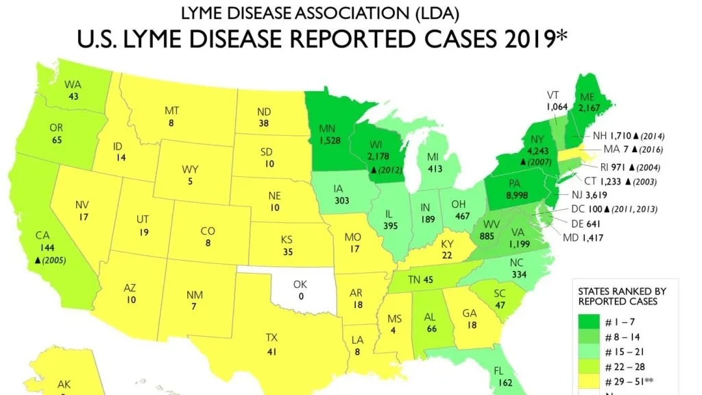 Understanding the Increase in Reported Lyme Disease Cases in 2022