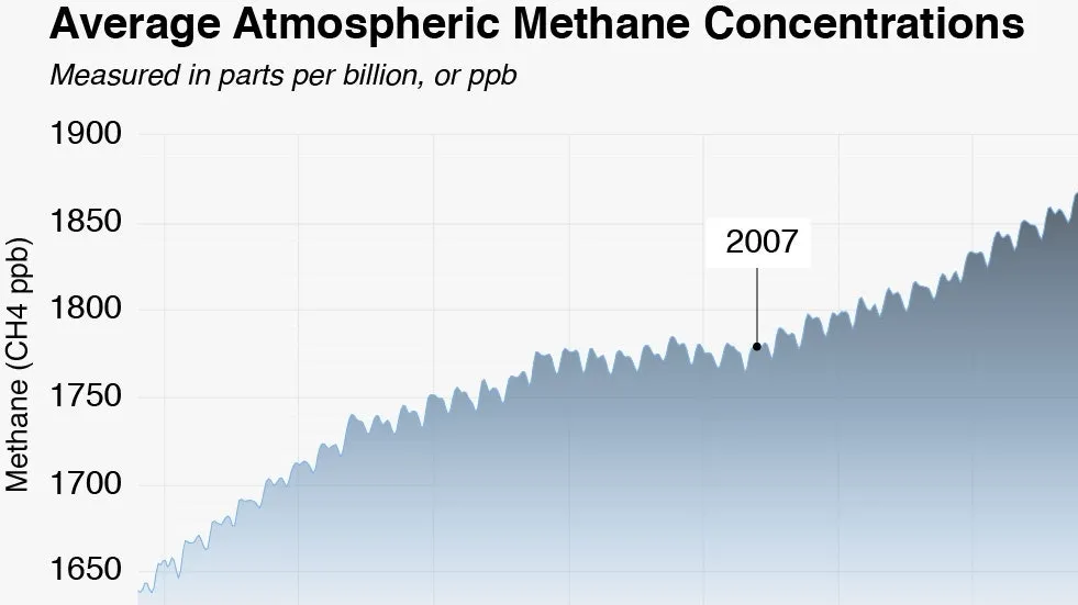 Rising Methane Levels: Wetland Emissions and the Accelerated Threat to Climate Change