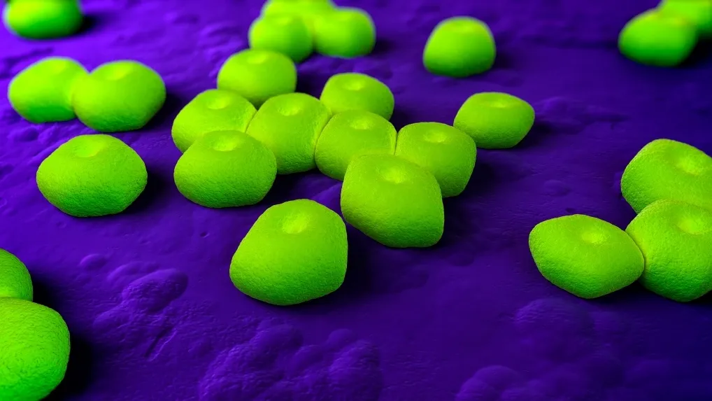 Breakthrough in Antibiotic Research: New Drug Against Resistant Bacteria Unveiled