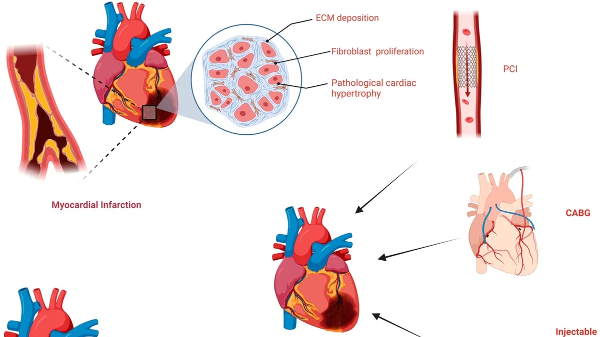 Revolutionizing Healthcare: The Potential of Hydrogels in Heart Tissue Healing and Cancer Treatment