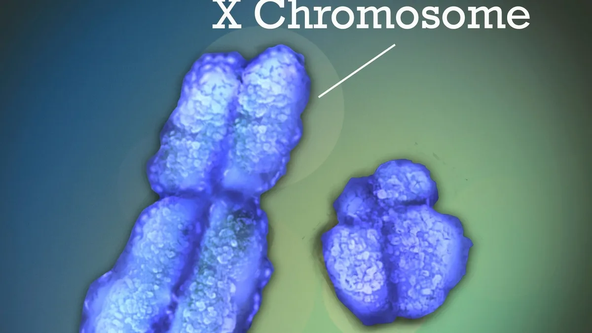 Unraveling the Gender Disparity in Autoimmune Diseases: A Closer Look at the Role of X Chromosome