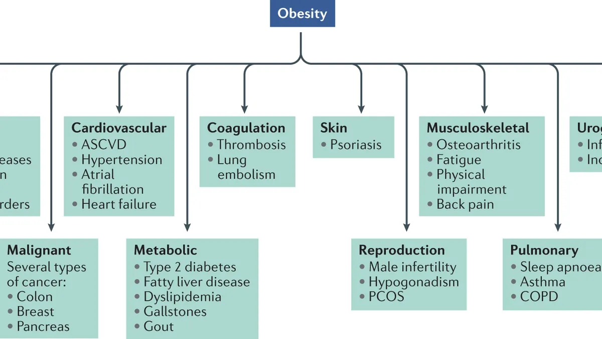 The Promise and Pitfalls of Obesity Drugs: A Closer Look at Wegovy, Zepbound, and Tirzepatide
