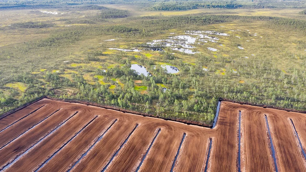 Peatland Preservation: A Vital Strategy in the Battle Against Climate Change