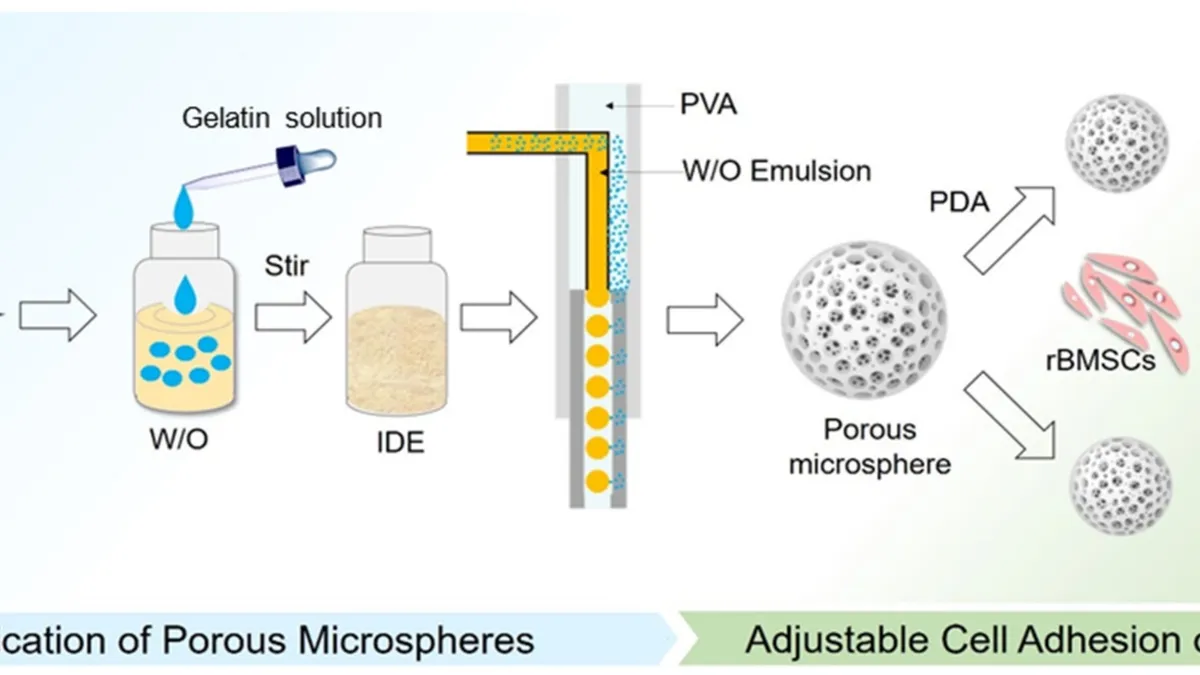 The Potential Applications of Elastic Porous Microspheres and ECM Hydrogels in Regenerative Medicine