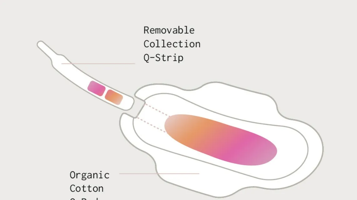 Revolutionizing Women’s Health: Qvin’s Q-Pad and Menstrual Blood Testing
