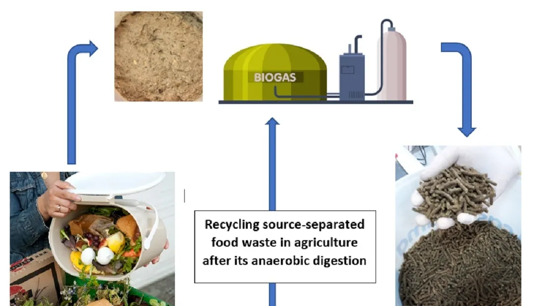 Recycled Food Waste: Unseen Contaminants and the Fungi Solution