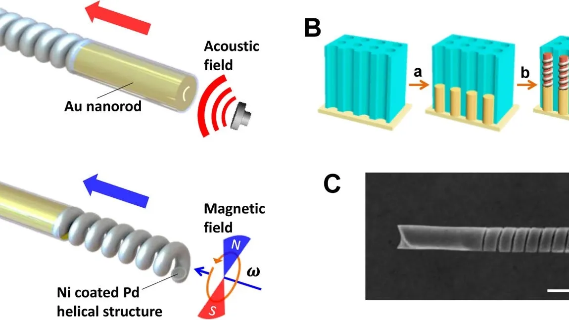 Revolutionizing Biomedical Applications: A Look into DNA-Driven and Magnetic Field Powered Nanomotors