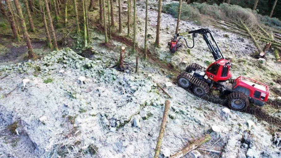 Historic 17th Century Township Uncovered in Skye Forestry Operations