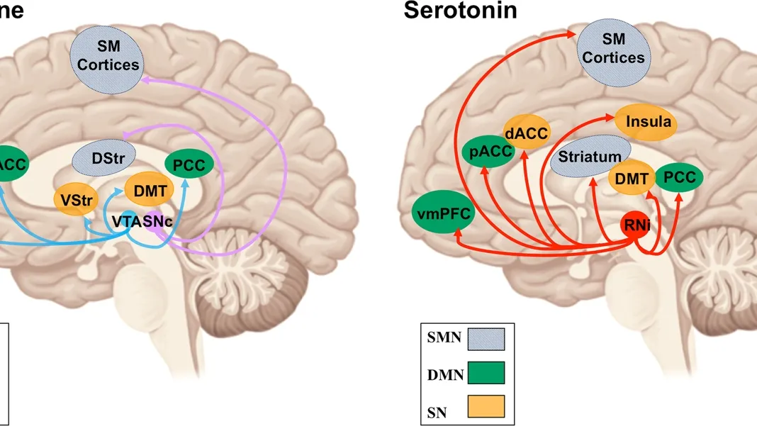 Understanding Neurotransmitters: The Crucial Role of Serotonin and Dopamine in Mental Health