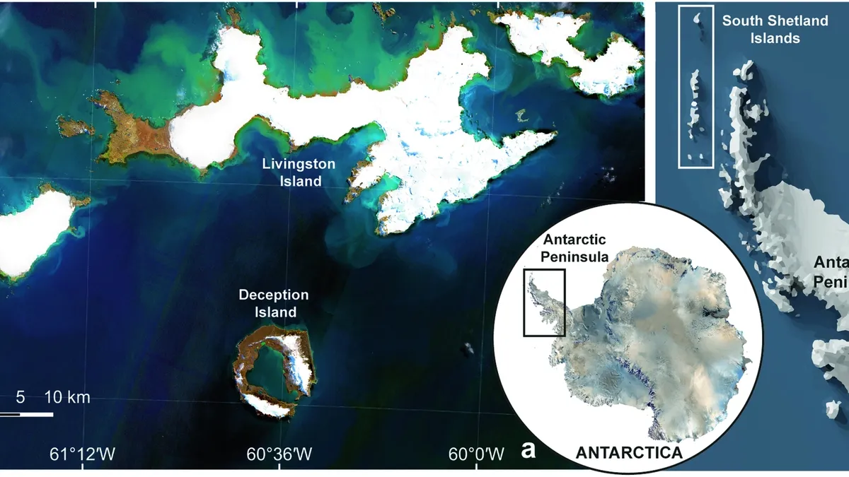 Leveraging UAVs for Climate Research in Antarctica: Insights from the ShetlandsUAVmetry Dataset