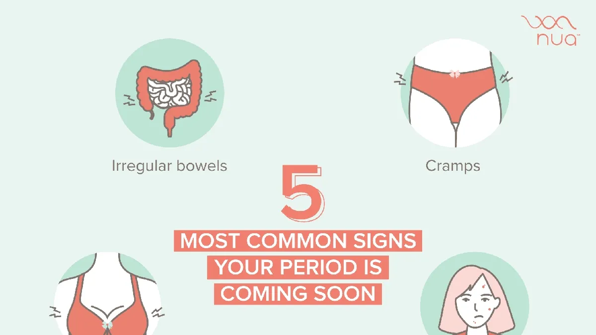 Understanding the Signs of an Approaching Period and How They Differ from Pregnancy Symptoms