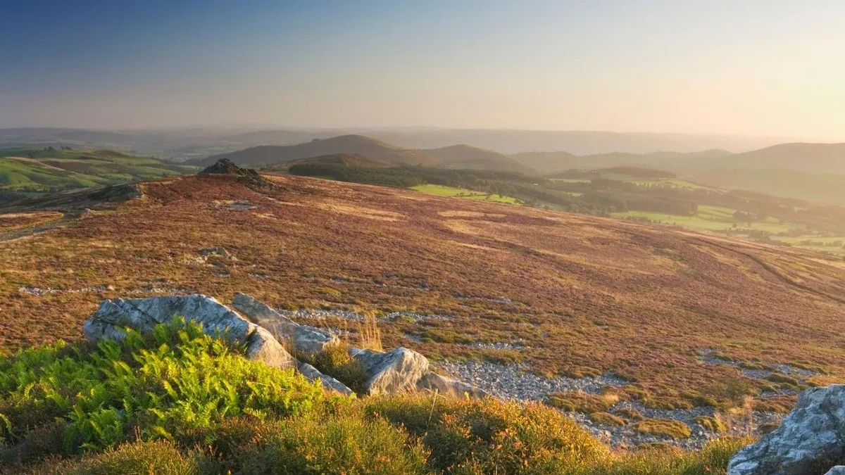 Mixed Reactions to the Proposed Expansion of Stiperstones National Nature Reserve