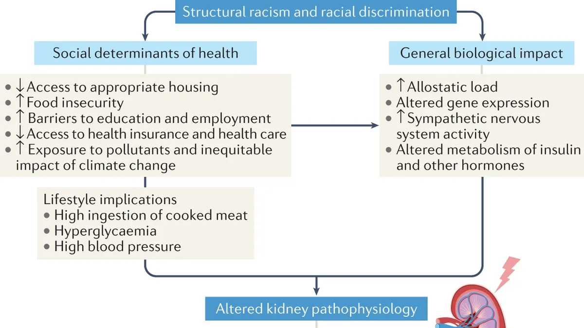 Structural Racism and Health Outcomes: A Deeper Look into Health Equity