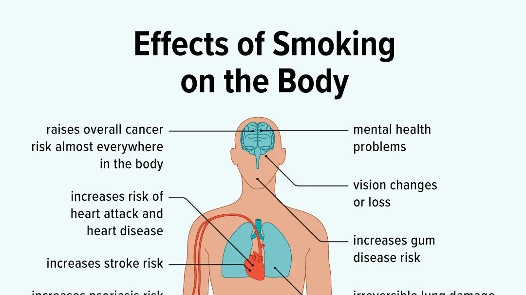 The Long-Term Impact of Smoking on the Immune System: New Insights and Implications