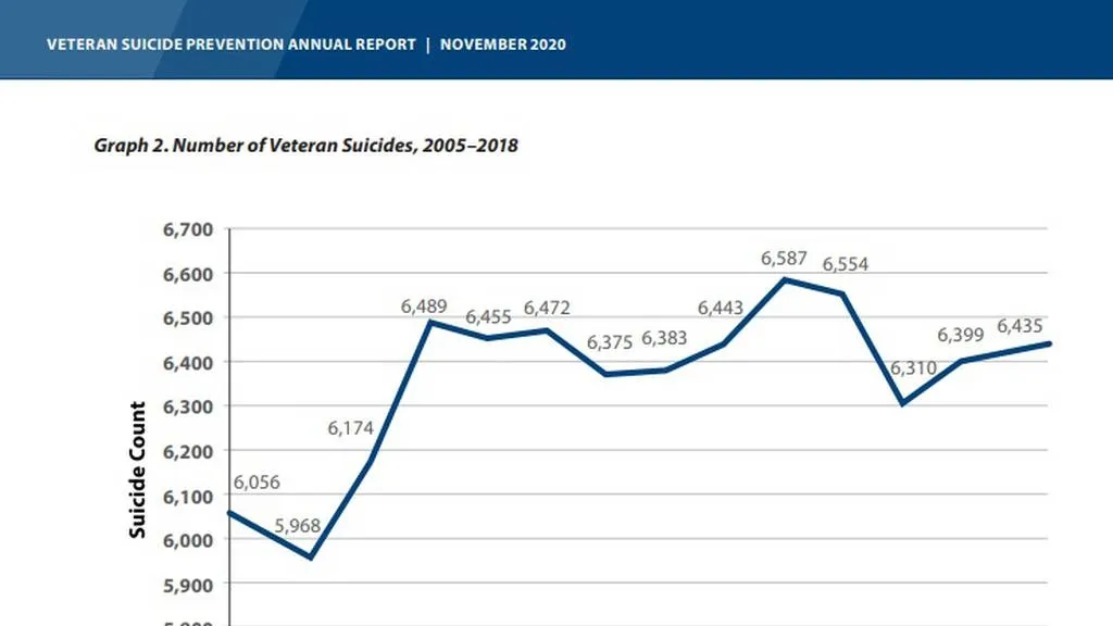 The Silent Crisis: Addressing the Alarming Rate of Veteran Suicides