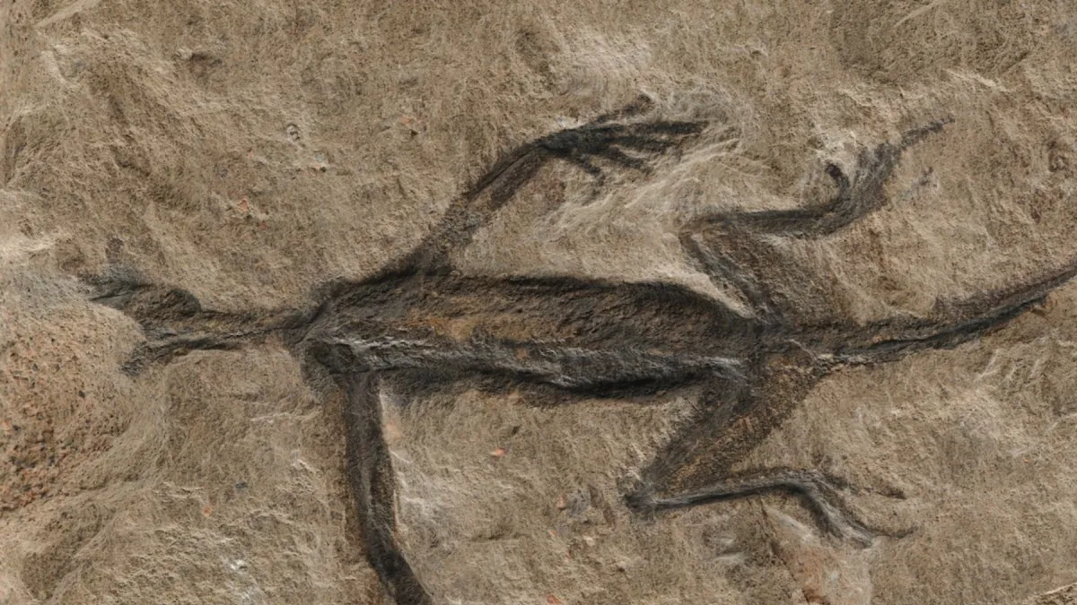 The Tale of Tridentinosaurus Antiquus: A Century-Old Fossil Forgery Unraveled