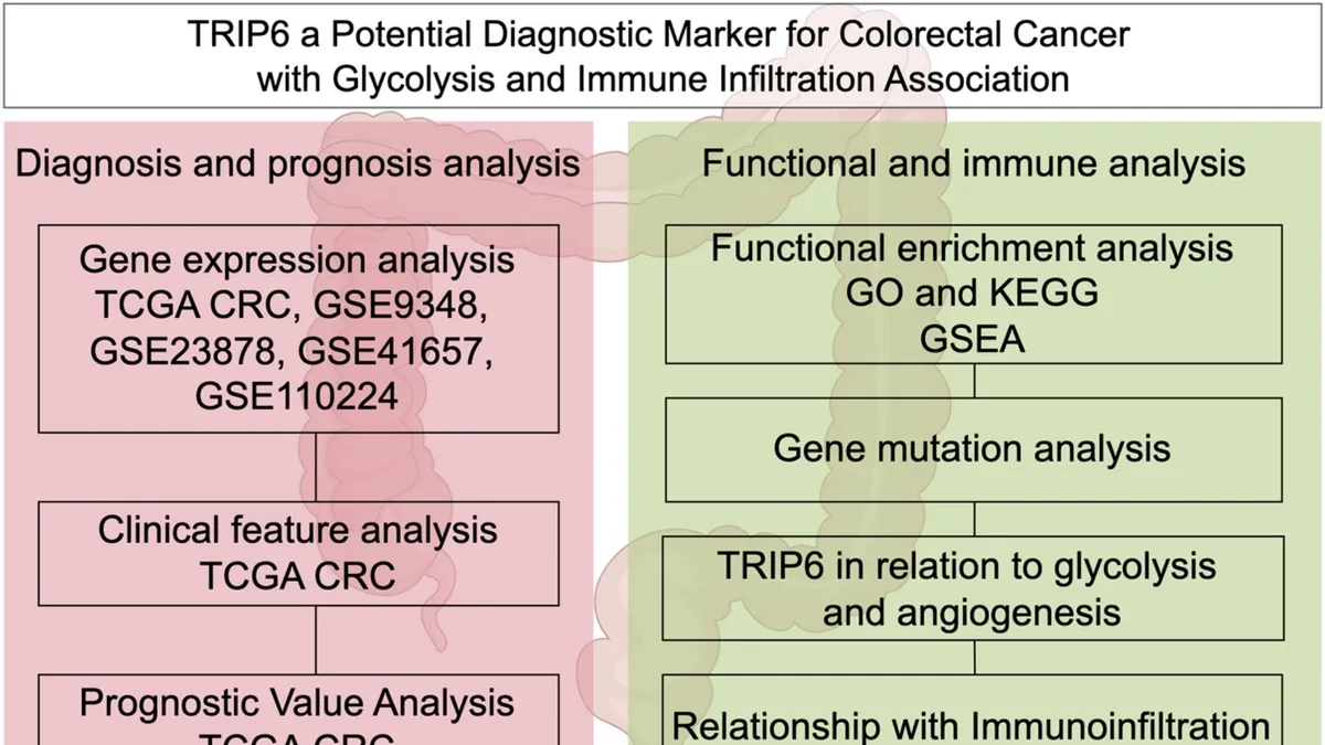 Unraveling the Role and Clinical Significance of TRIP6 in Colorectal Cancer