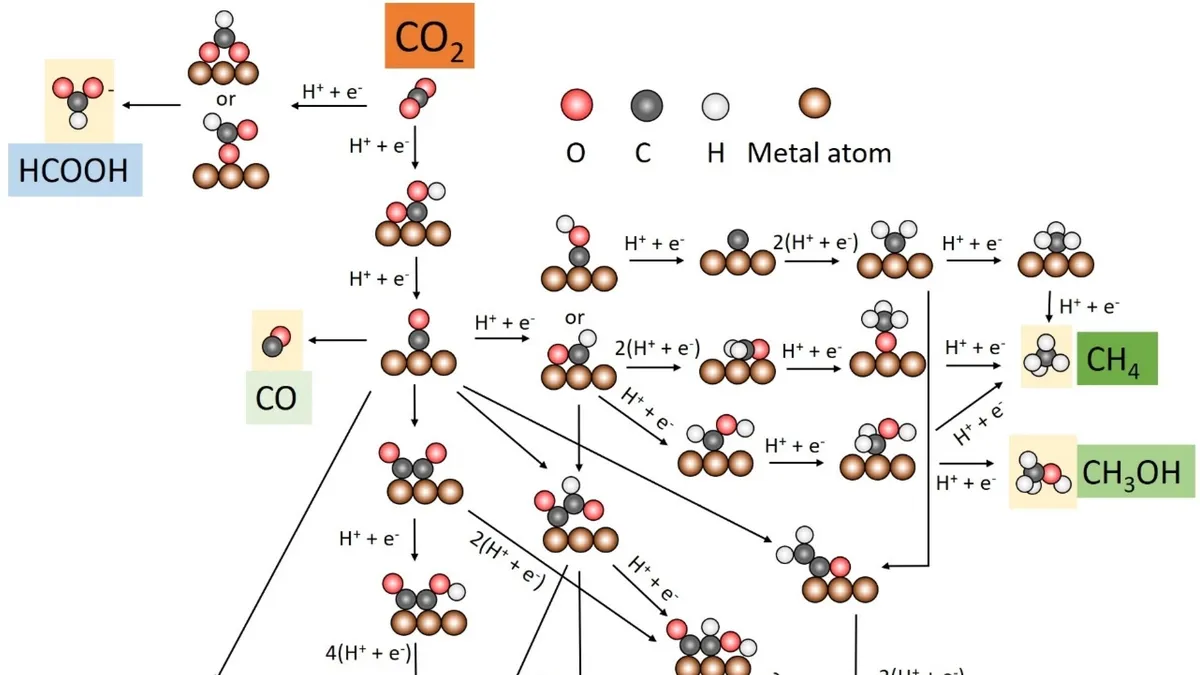Tuning Oxygen Affinity in Catalysts for Selective CO2 Reduction: A New Frontier in Electrocatalyst Design