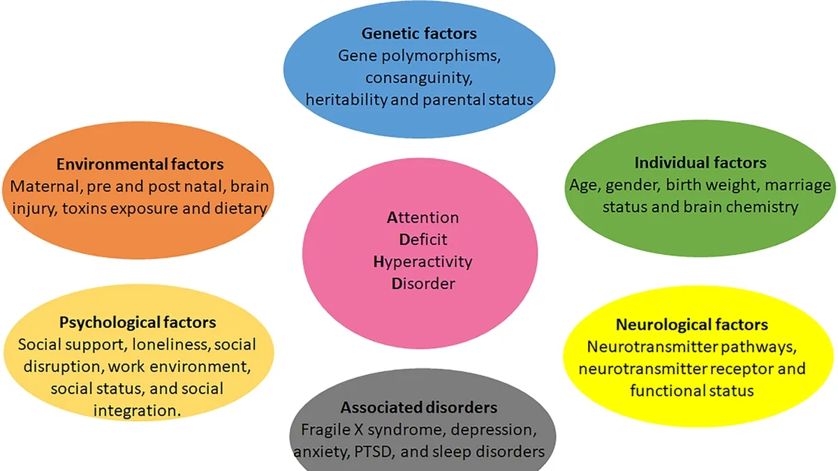 Unraveling the Genetic Underpinnings of Clinical Heterogeneity in ADHD