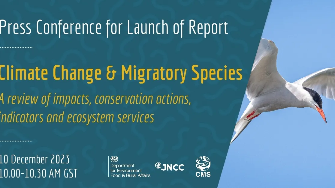 UN Report Reveals Dire Threats to World’s Migratory Species: Urgent Action Needed
