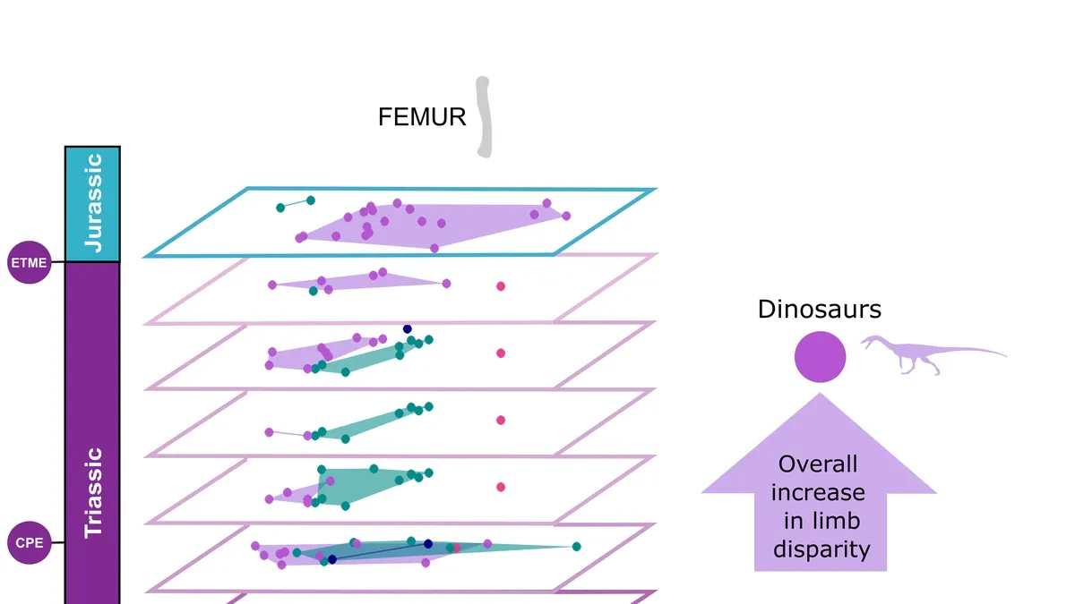 The Secret Behind Dinosaurs’ Dominance: Speed, Adaptability and Locomotion Style