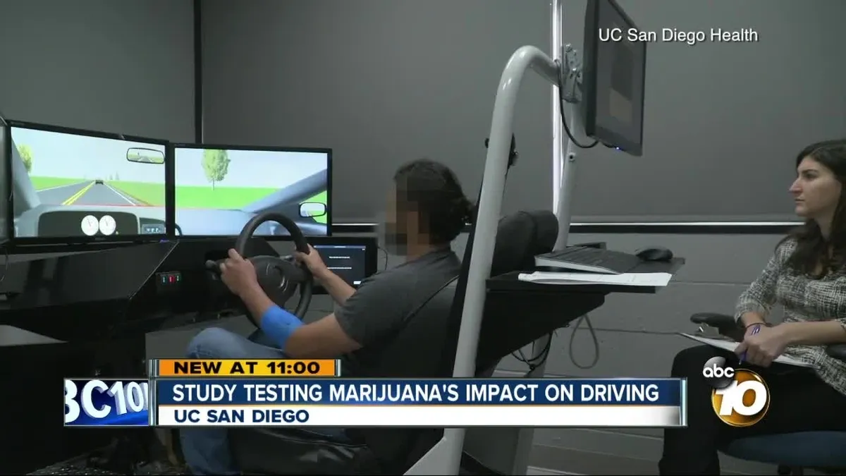Understanding the Impact of Marijuana on Driving: A Comprehensive Study
