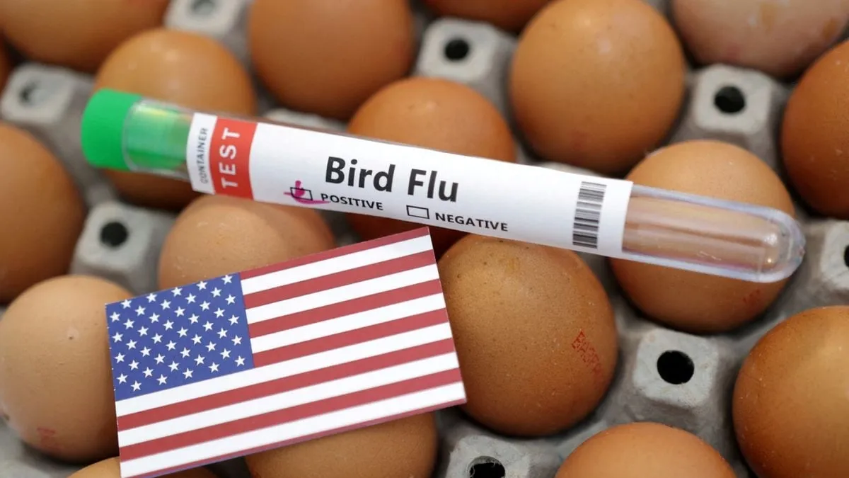 Progress in Bird Flu Vaccine Development: An Overview