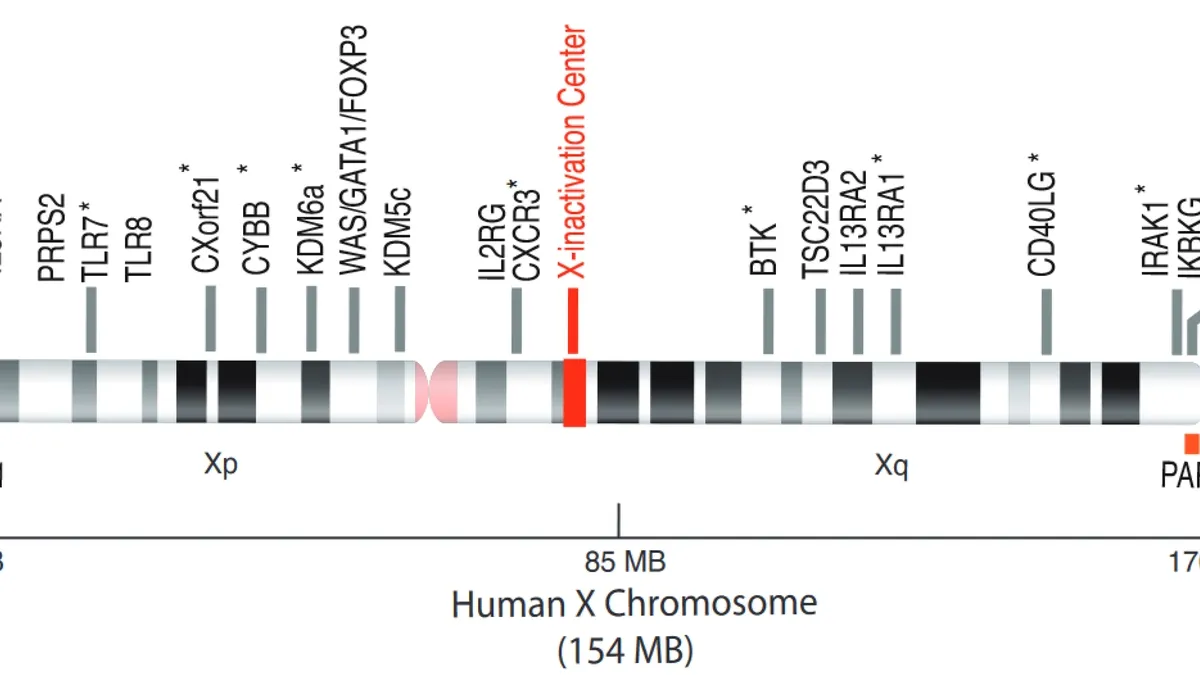 X-Chromosome Link to Women’s Higher Susceptibility to Autoimmune Diseases: A Pioneering Study