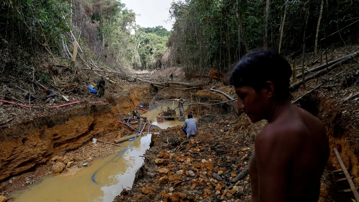 The Yanomami Crisis: Samba School Highlights the Devastating Impact of Illegal Mining